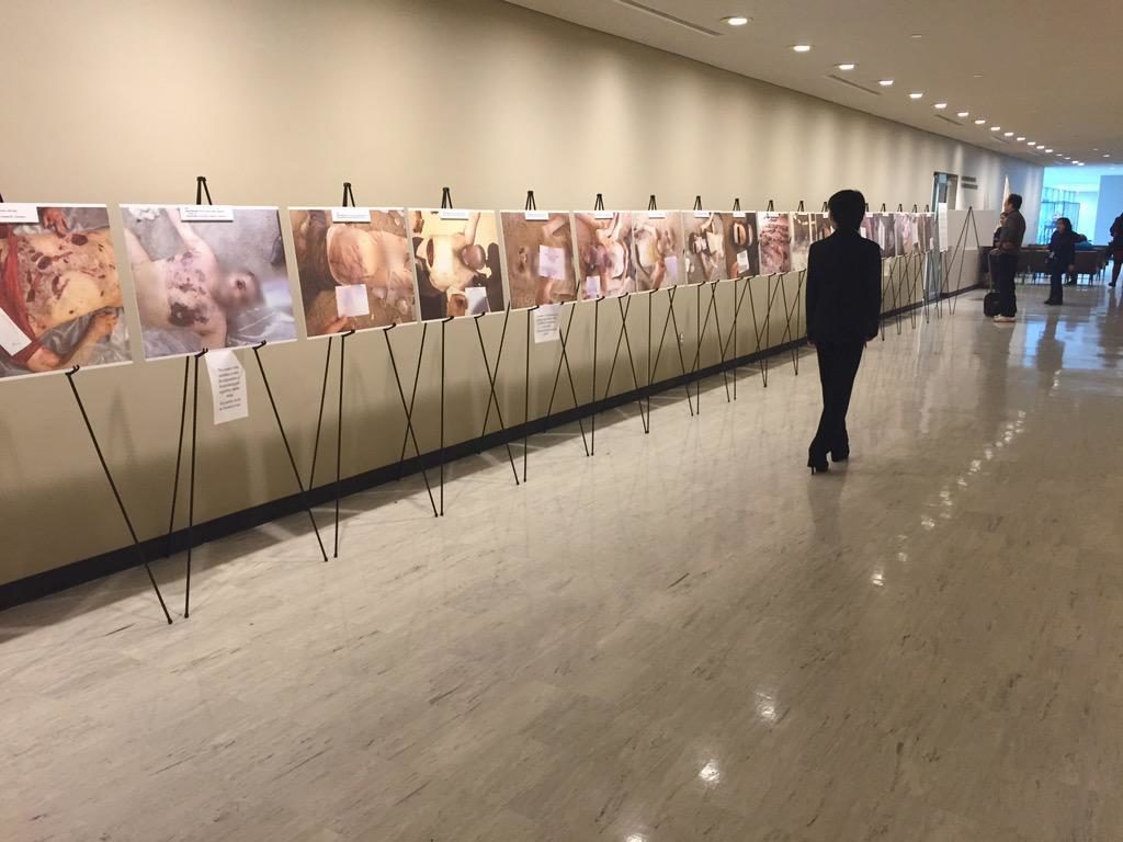 Visitors look at images of torture and death reportedly carried out by Syrian government forces, on display in the halls of UN headquarters in New York on 12 March, 2015 (AA)