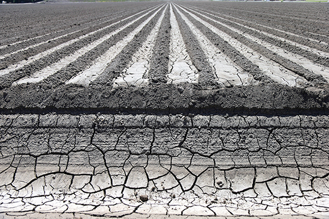An irrigation canal near a parched field in Manteca, California, April 24, 2015. California's drought has made the Sacramento-San Joaquin Delta's limited supply of freshwater, which helps feed more than 3 million acres of farmland, a central battle zone between farmers and environmentalists. (Jim Wilson/The New York Times)